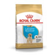 Royal Canin Лабрадор ретривер Паппи, сухой (3 кг)