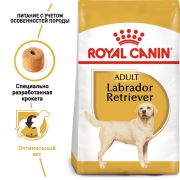 Royal Canin Лабрадор ретривер, сухой (12 кг)