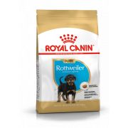 Royal Canin Ротвейлер Юниор, сухой (12 кг)