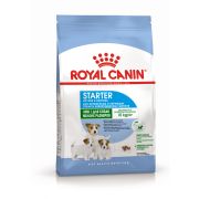 Royal Canin Мини Стартер, сухой (3 кг)