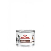 Royal Canin Рекавери (канин/фелин), банка, мусс (195 г)