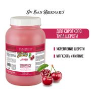 Шампунь Iv San Bernard Fruit of the Groomer Black Cherry для короткой шерсти с протеинами шелка 3,25 л