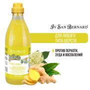 Шампунь Iv San Bernard Fruit of the Groomer Ginger&Elderbery для любого типа шерсти против раздражений и перхоти 1 л